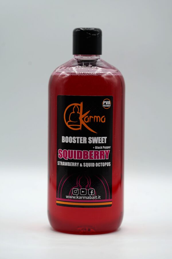 Liquid Booster Squidberry + B.P. - 500 ml